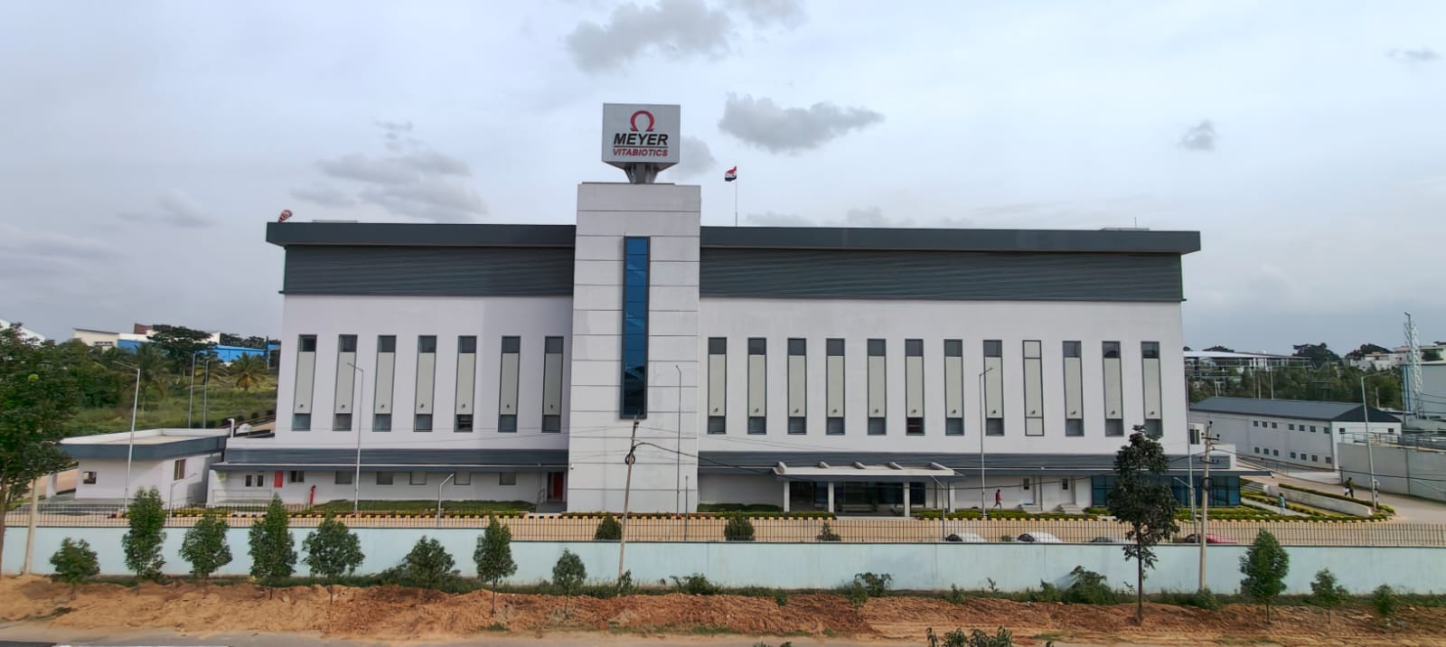 Mentorship programs for professional success