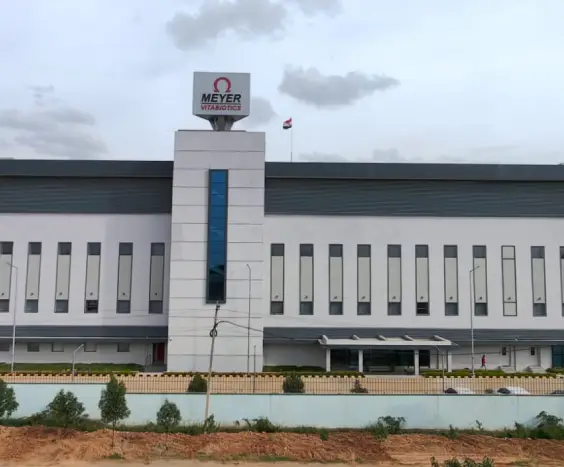 Business mentor for growth